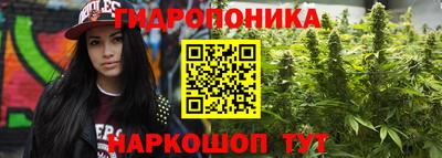винт Краснодар