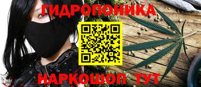 винт Краснодар