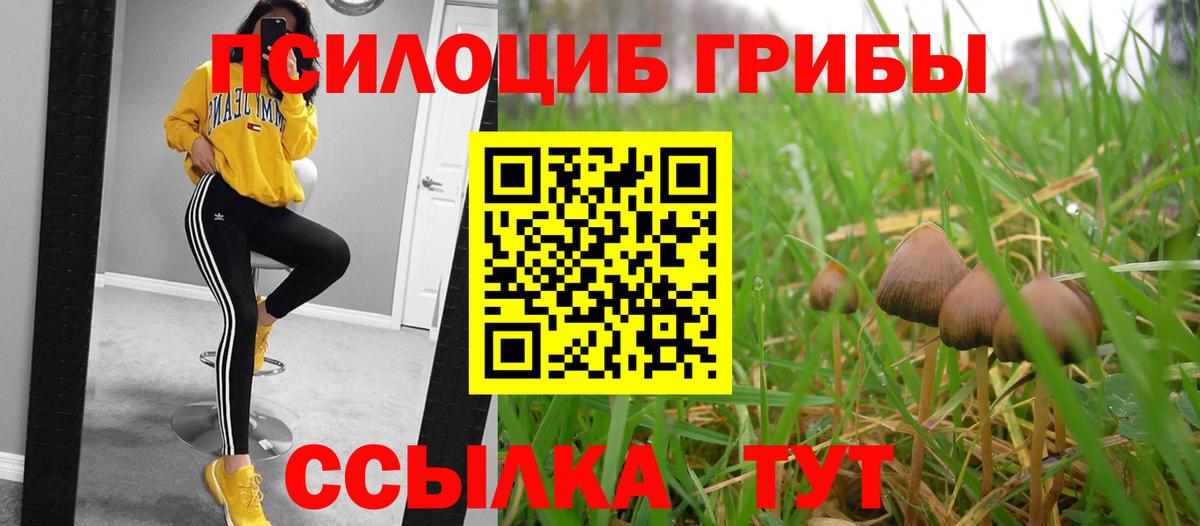 Галлюциногенные грибы GOLDEN TEACHER Чехов
